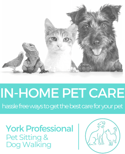 Free e-Book York Professional Pet Sitting