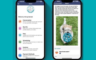 How Pet Sitting and Dog Walking Updates Give Pet Parents Peace of Mind in Newmarket, Aurora, and Area