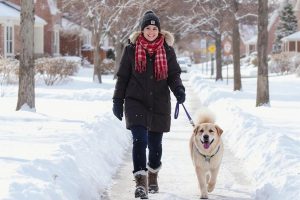 Cold Noses, Warm Hearts: Why Winter Walks Keep Dogs Happier and Healthier